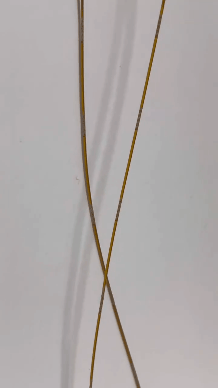 1752745692778869.gif 1752745692778869.gif